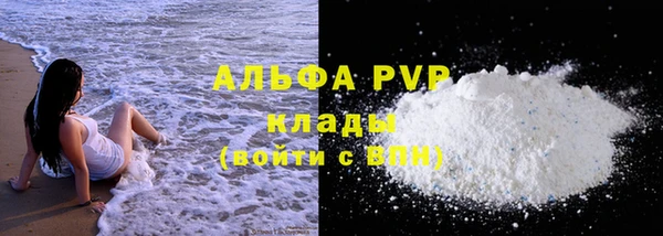 Альфа ПВП Верея
