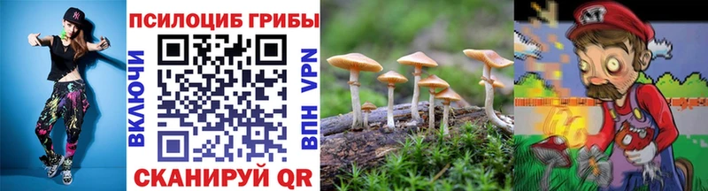 Купить  Ленинск  Псилоцибиновые грибы Psilocybe 